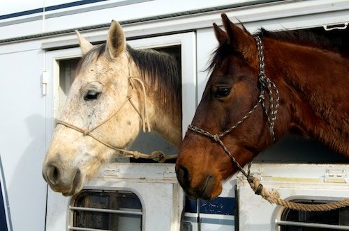  Horsebox & Trailer Repair Oxfordshire 